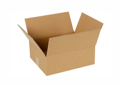 30x20x10 cm Karton Koli